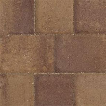 Brown Chestnut